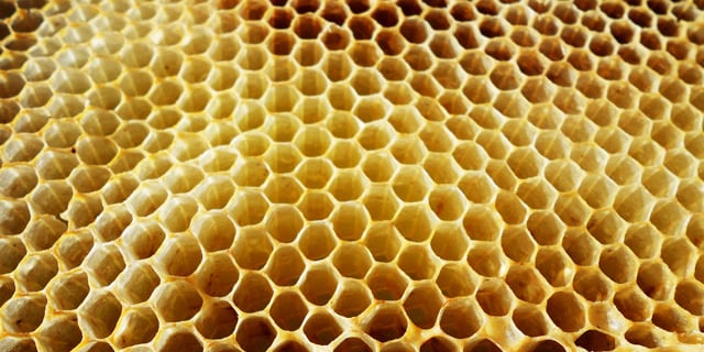 beewax1